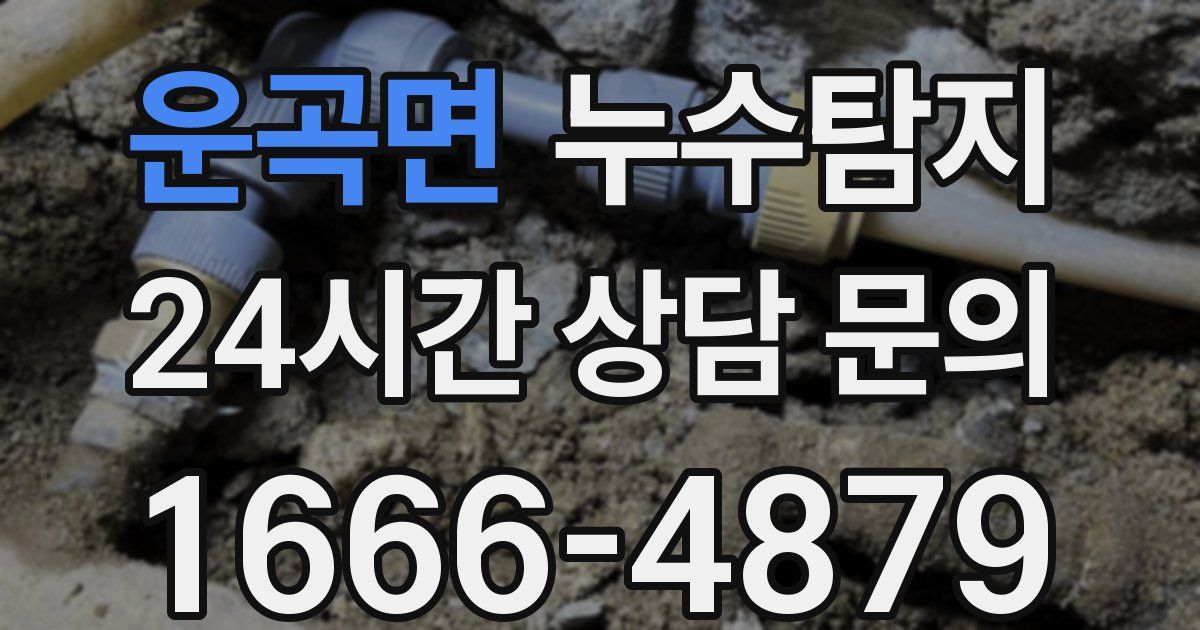 하수구막힘