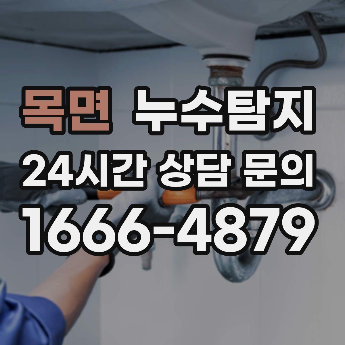 목면 누수탐지 학교 시설 점검 사례 공유