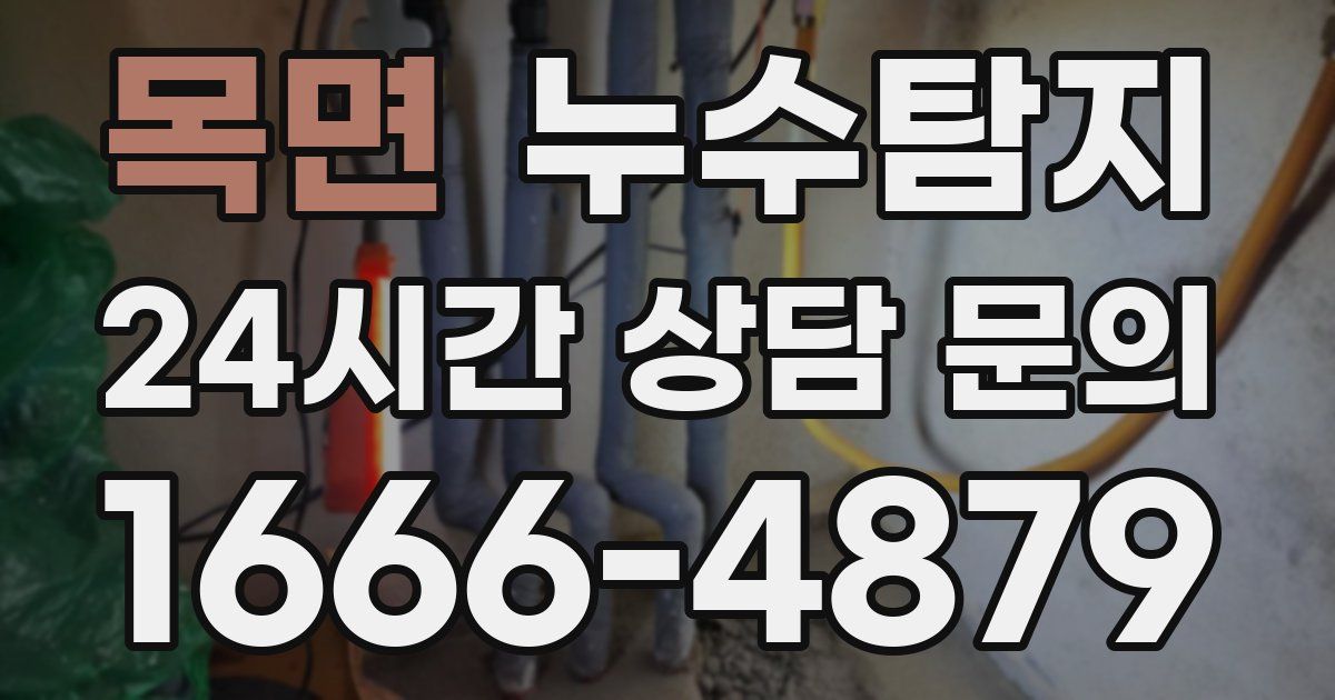 하수구막힘