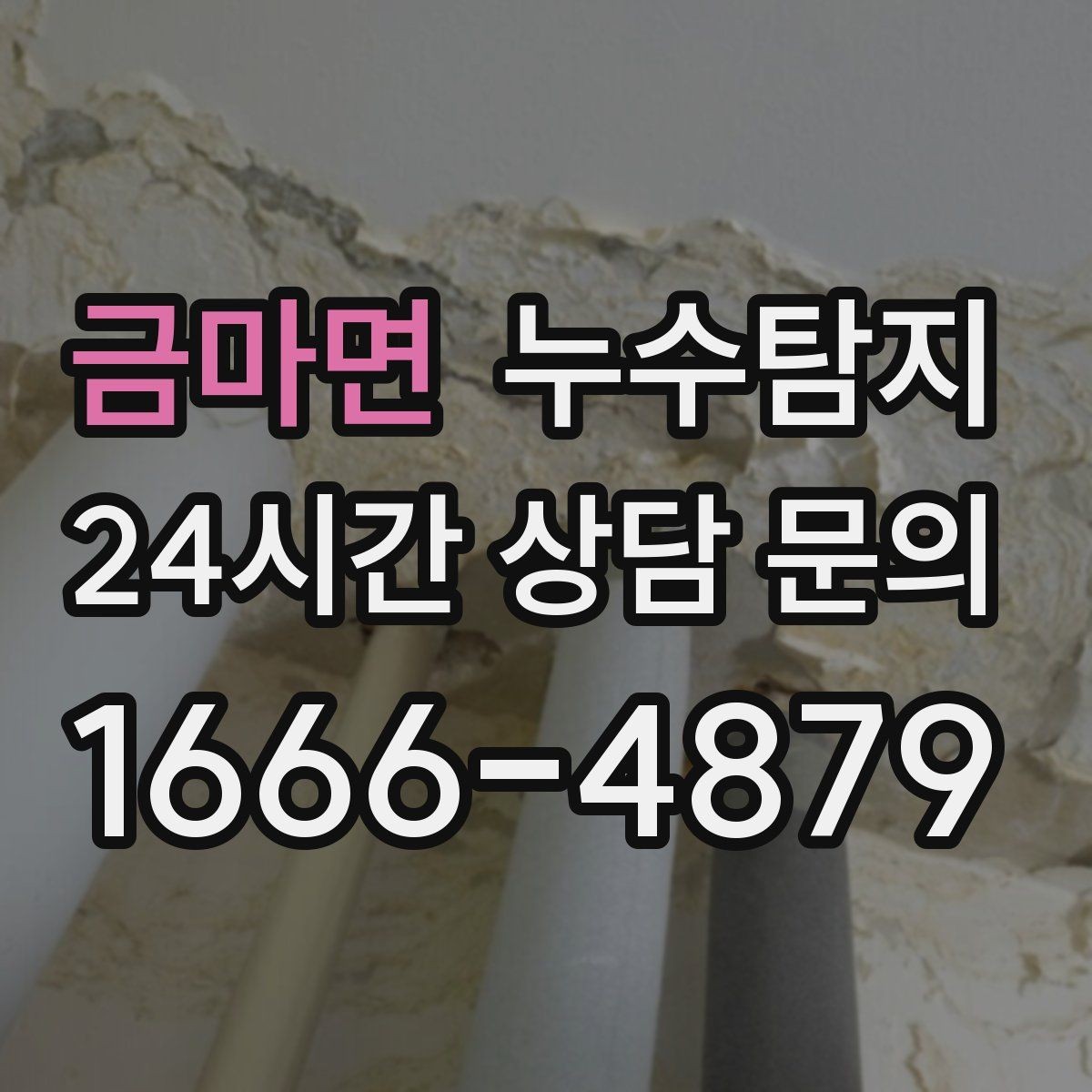 금마면 누수탐지 단독주택 외부 관로 점검 이야기