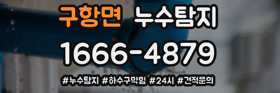 누수닥터 누수탐지
