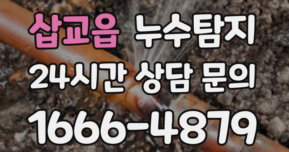 하수구막힘