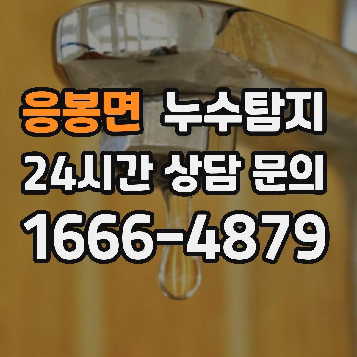 응봉면 누수탐지 학교와 병원 등 공공시설 점검기