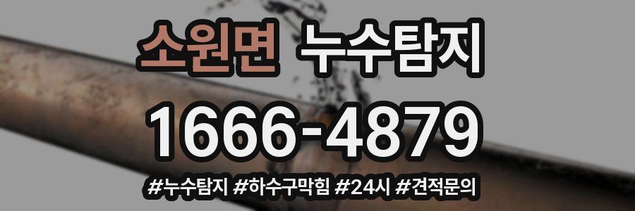 누수닥터 누수탐지