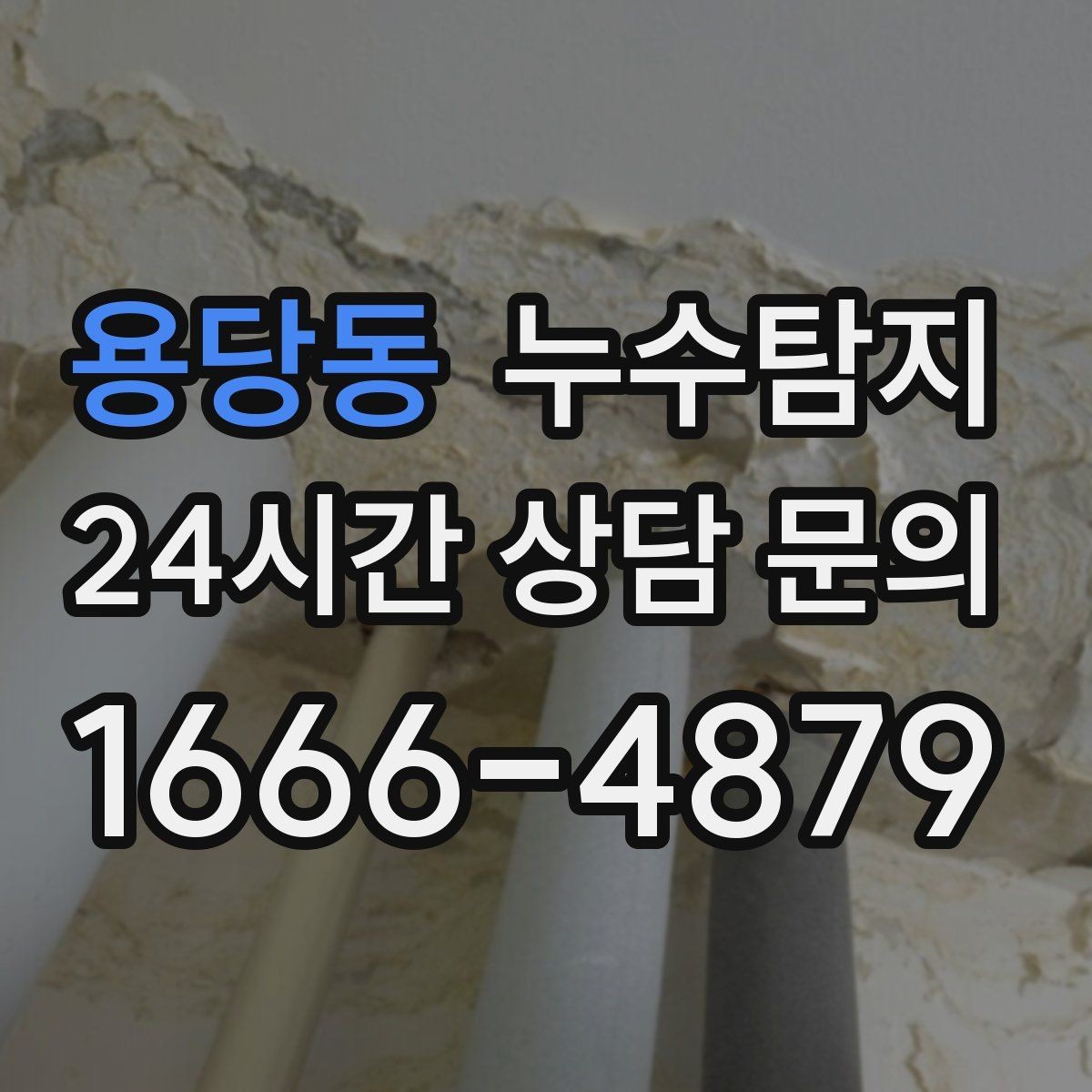 용당동 누수탐지 공용배관 의심 구간 찾은 날