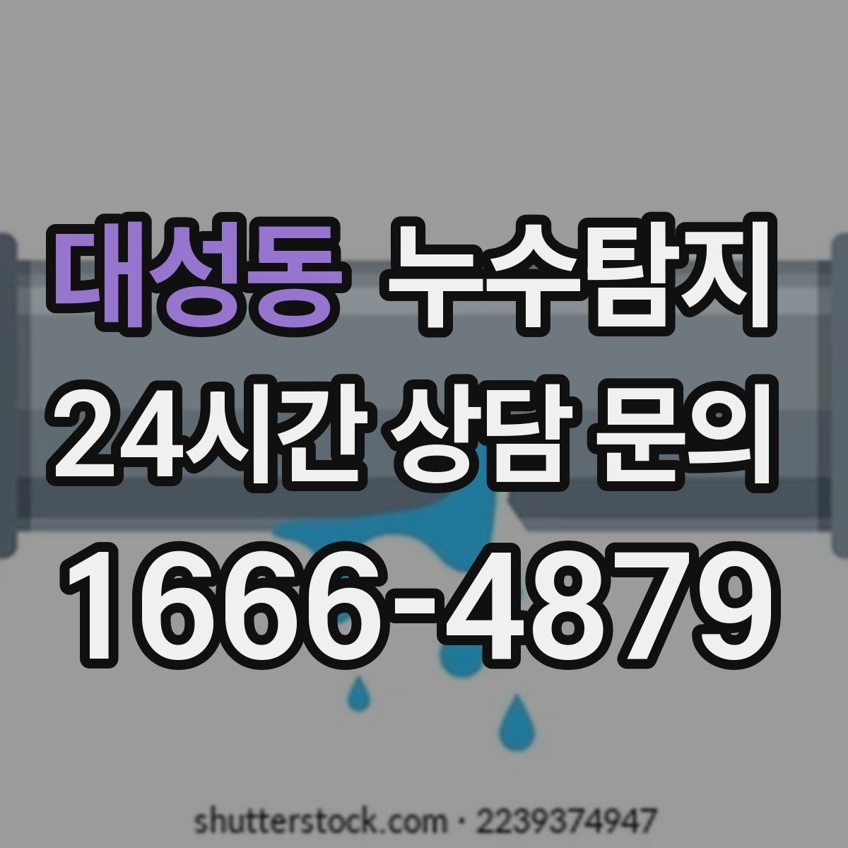 대성동 누수탐지 드레스룸 곰팡이 없앤 하루