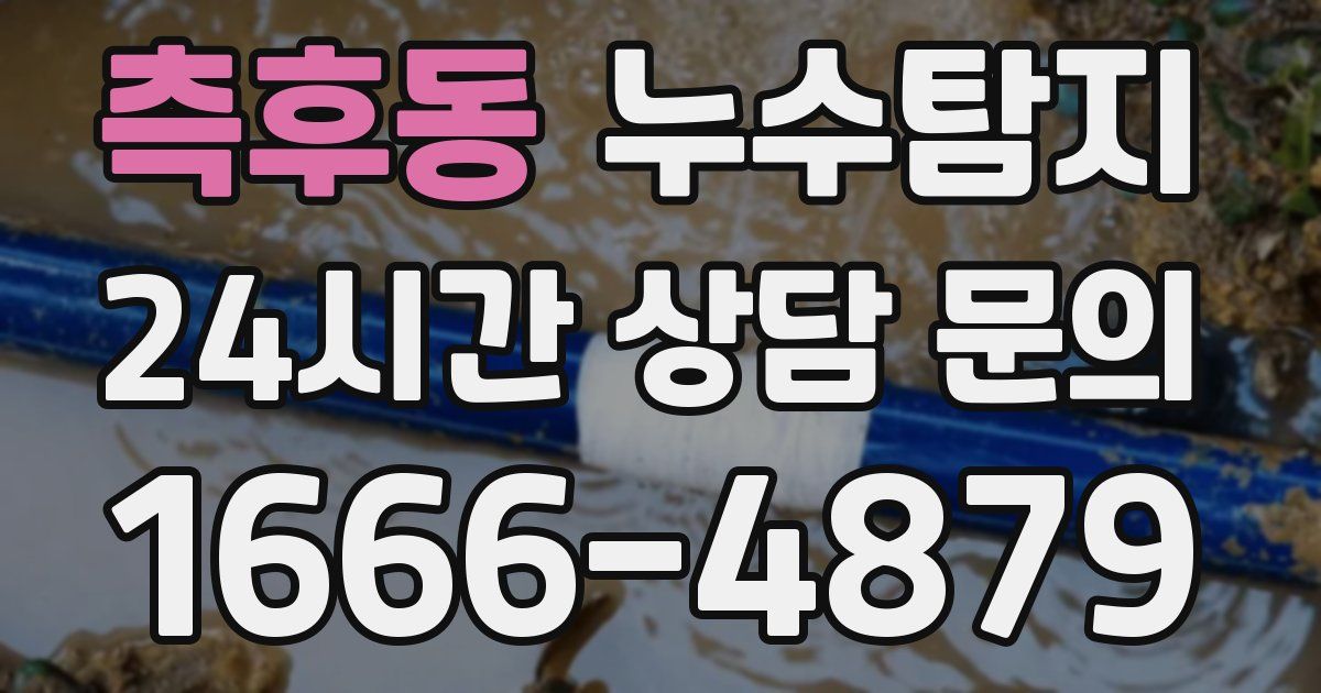 하수구막힘