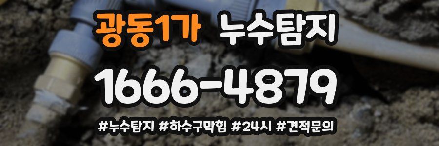 누수닥터 누수탐지