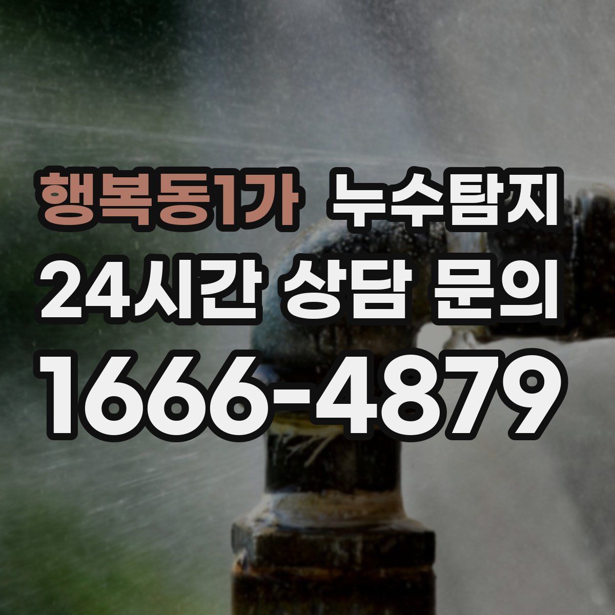 누수탐지