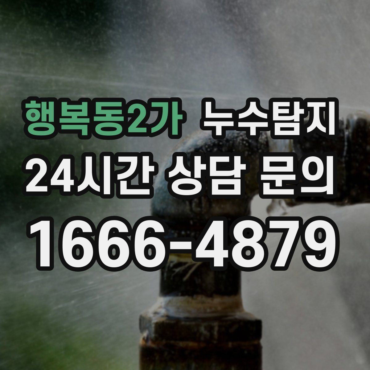행복동2가 누수탐지 빠른 방문 당일 진단 가능