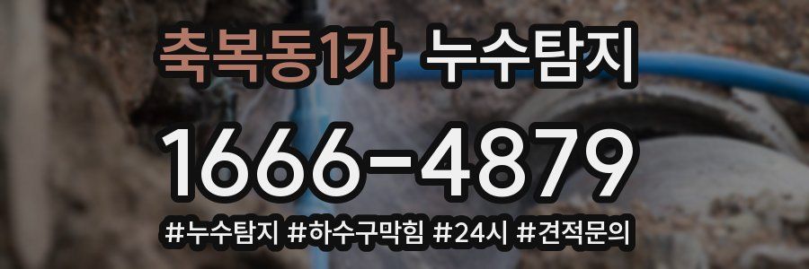 누수닥터 누수탐지