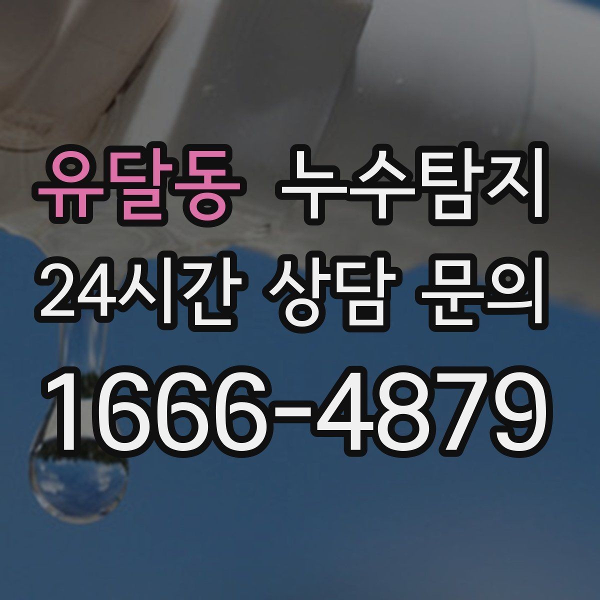 유달동 누수탐지 새집인데 왜 물이 새는지 점검기