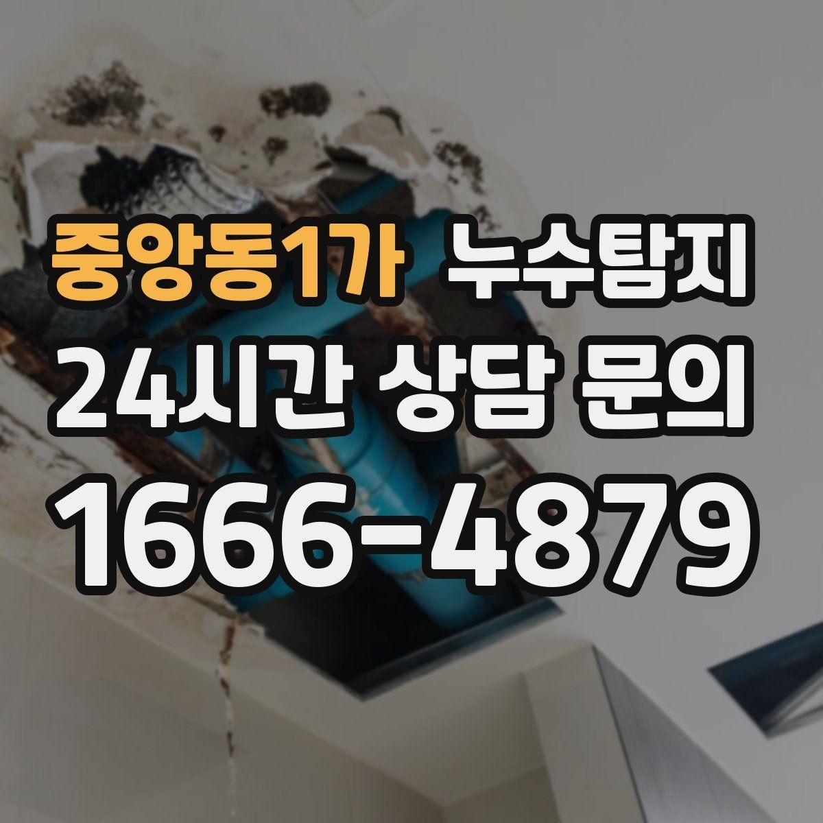 중앙동1가 누수탐지 방수 하자 판정과 보수 선택기