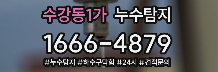 누수닥터 누수탐지