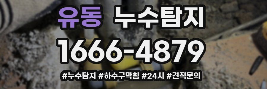 누수닥터 누수탐지