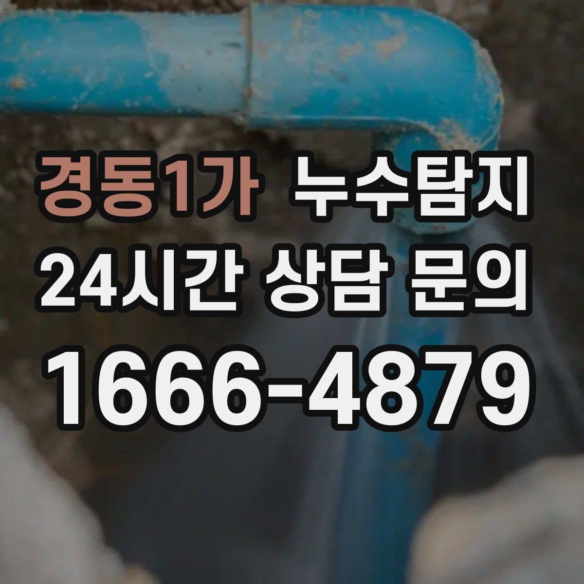 경동1가 누수탐지 장판 들뜸 복구와 재발 방지