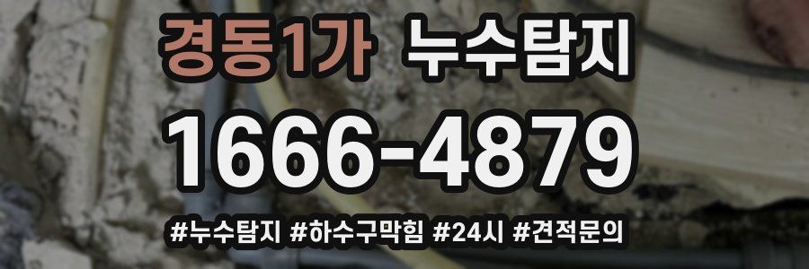 누수닥터 누수탐지