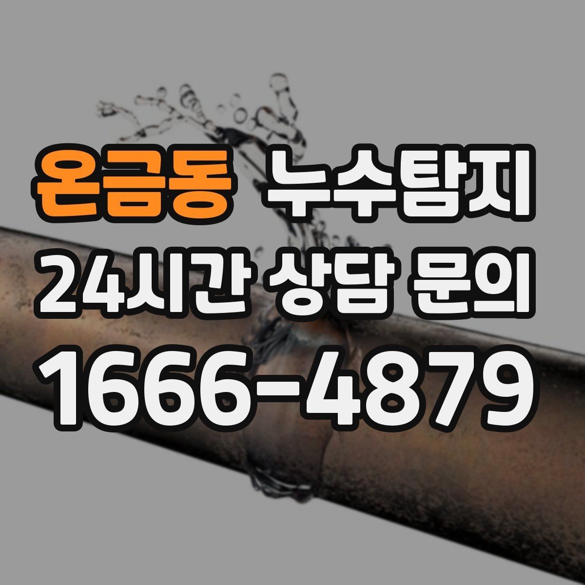 온금동 누수탐지 예약 즉시 방문 가능 지역