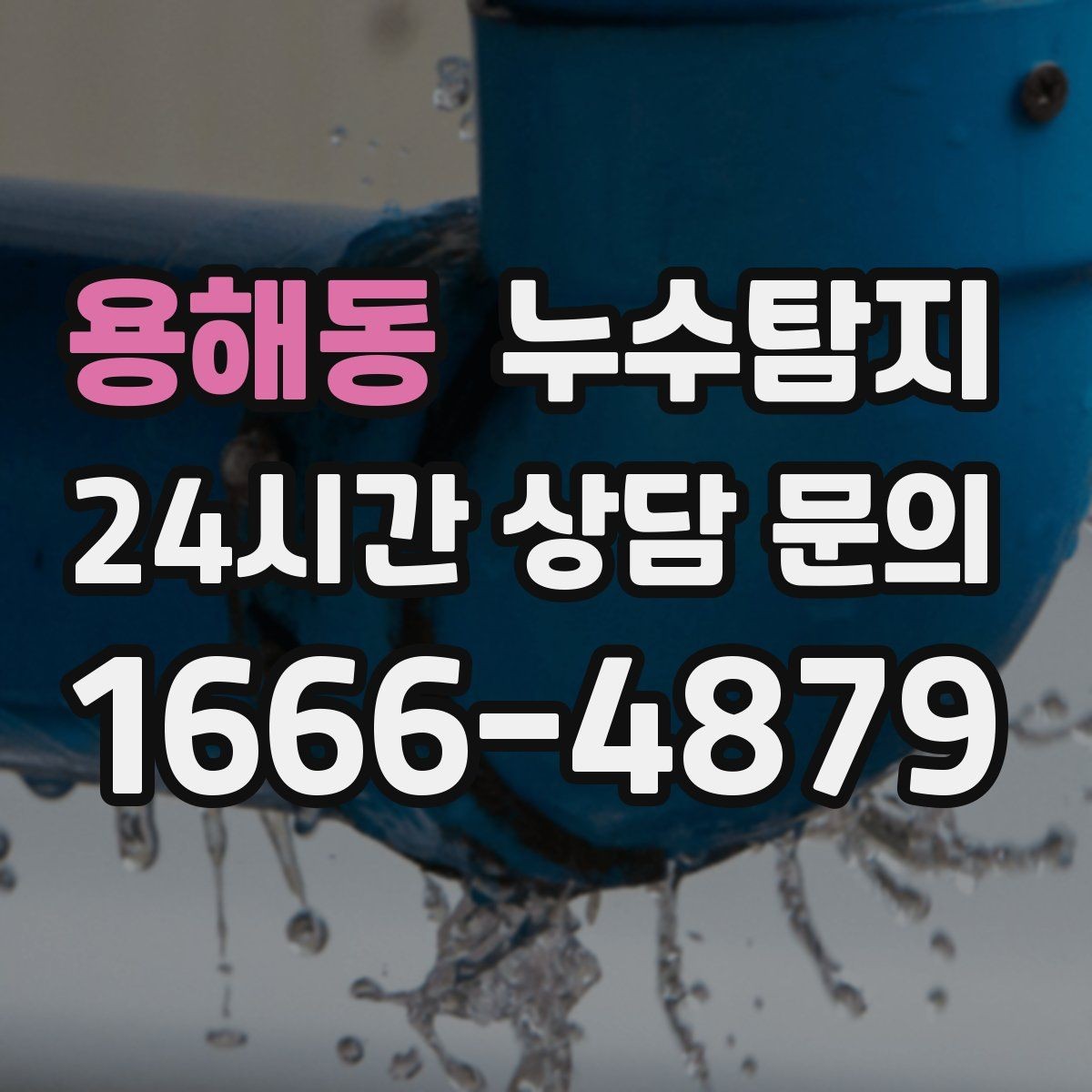 용해동 누수탐지 전세 계약 전 집 상태 확인법