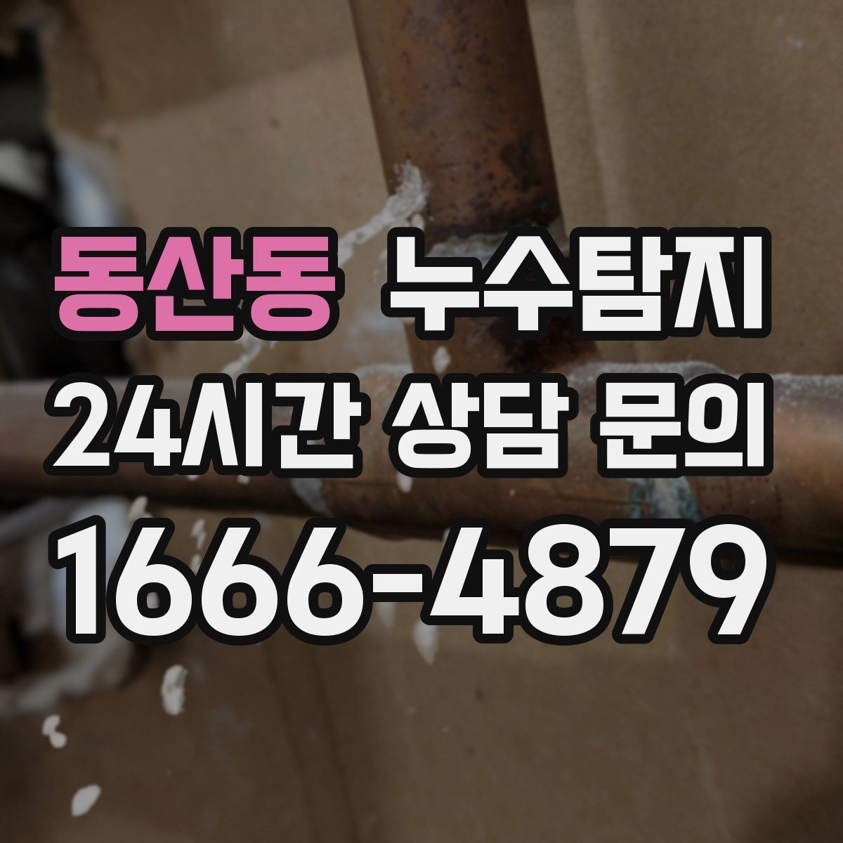 동산동 누수탐지 예약부터 복구까지 일정 관리