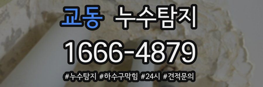 누수닥터 누수탐지