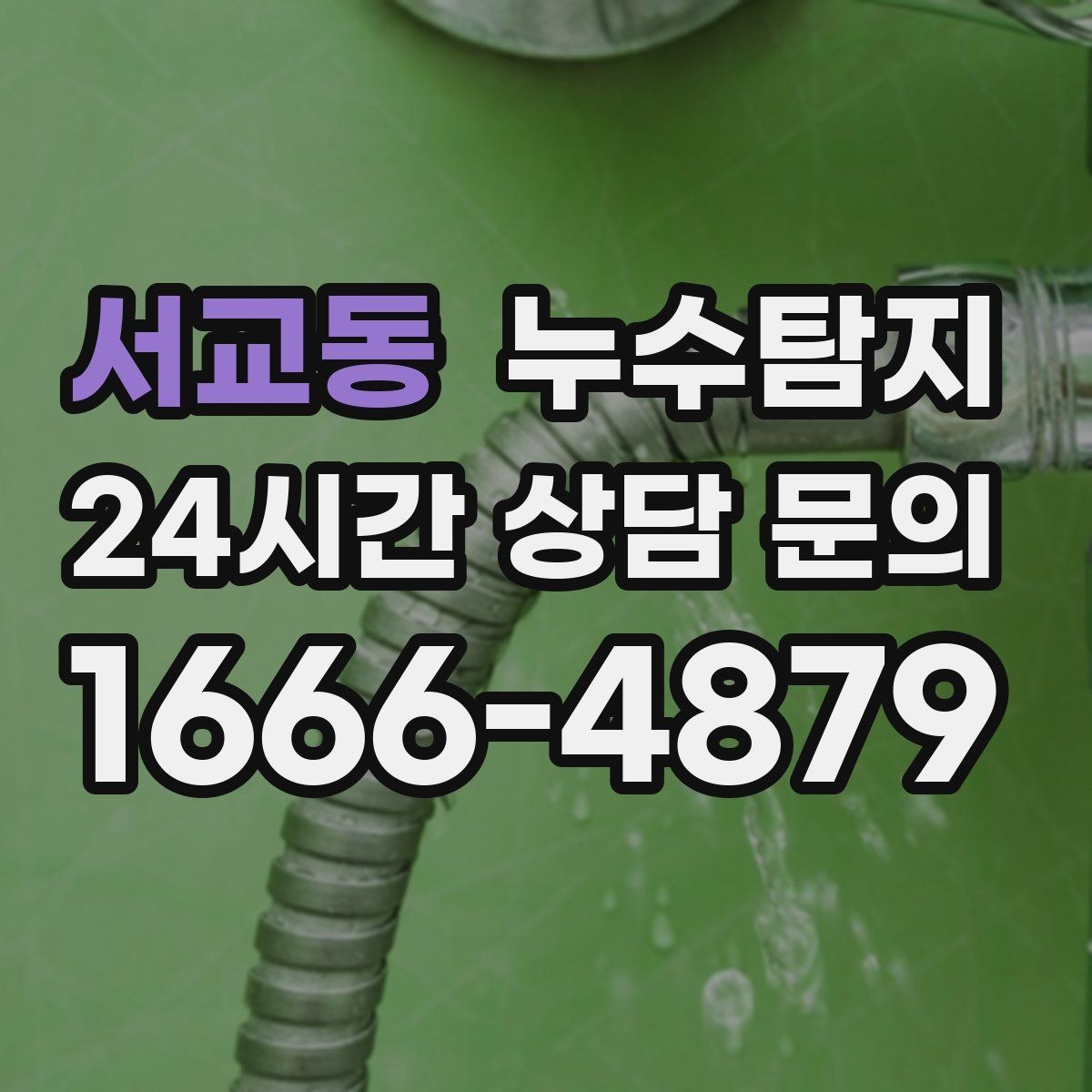 서교동 누수탐지 집 안 공기질이 달라진 이유