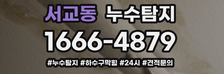 누수닥터 누수탐지