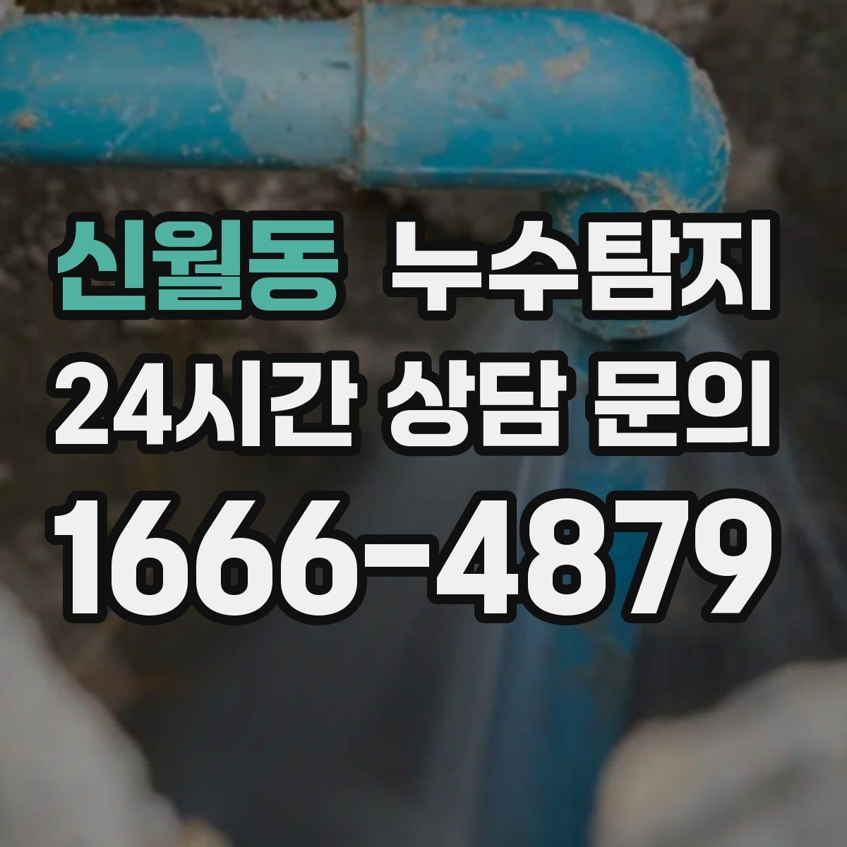 신월동 누수탐지 단독주택 외부 관로 점검