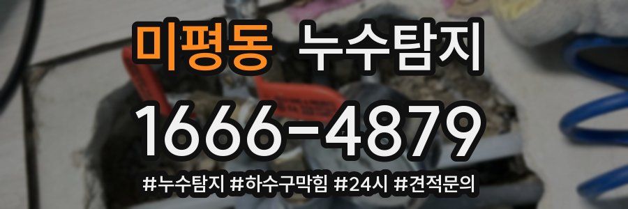 누수닥터 누수탐지