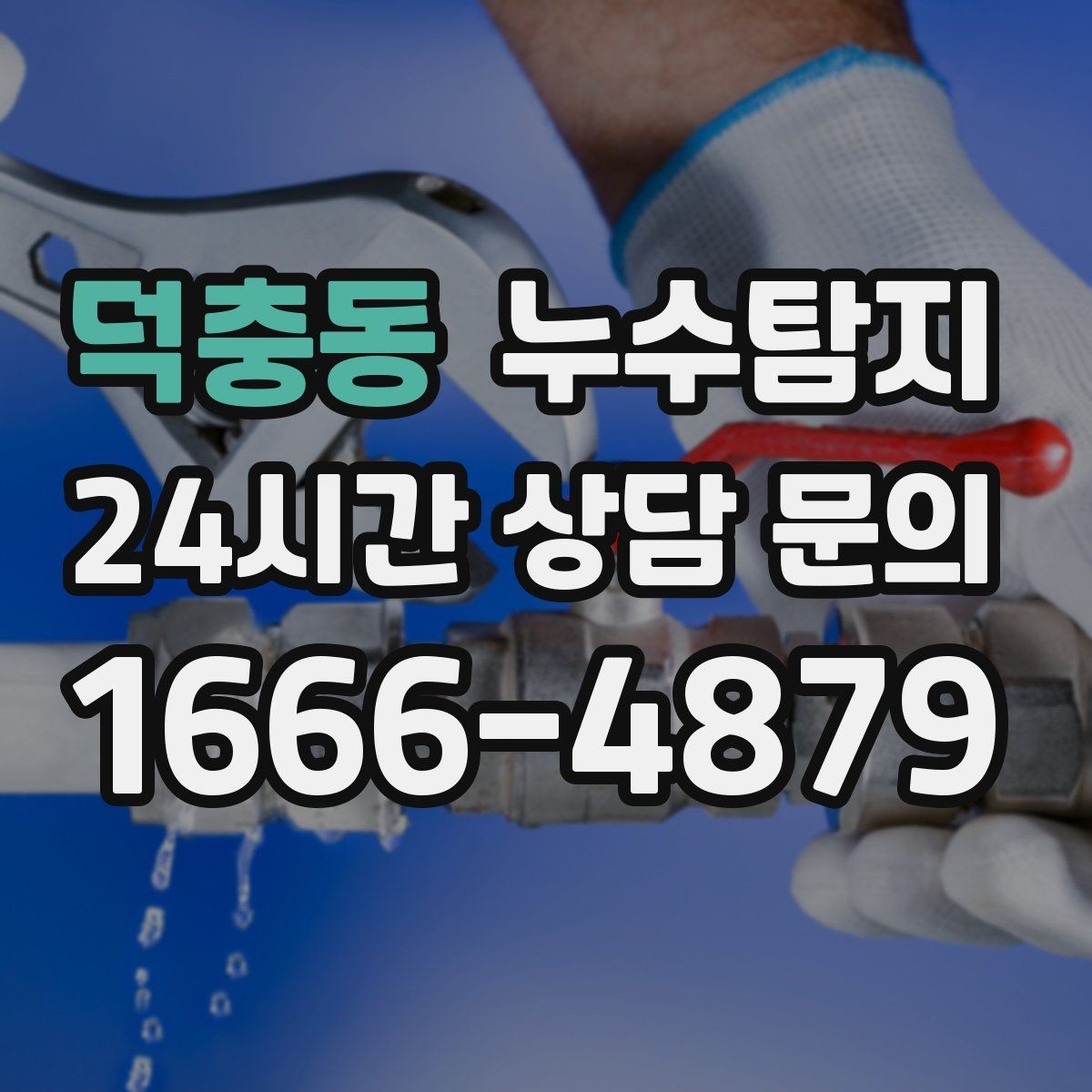덕충동 누수탐지 창고 곰팡이 제거와 재발 방지