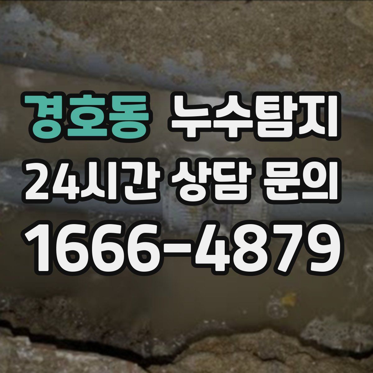 누수탐지