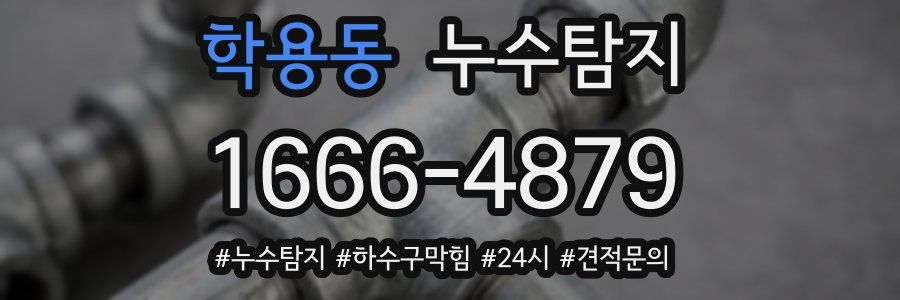 누수닥터 누수탐지
