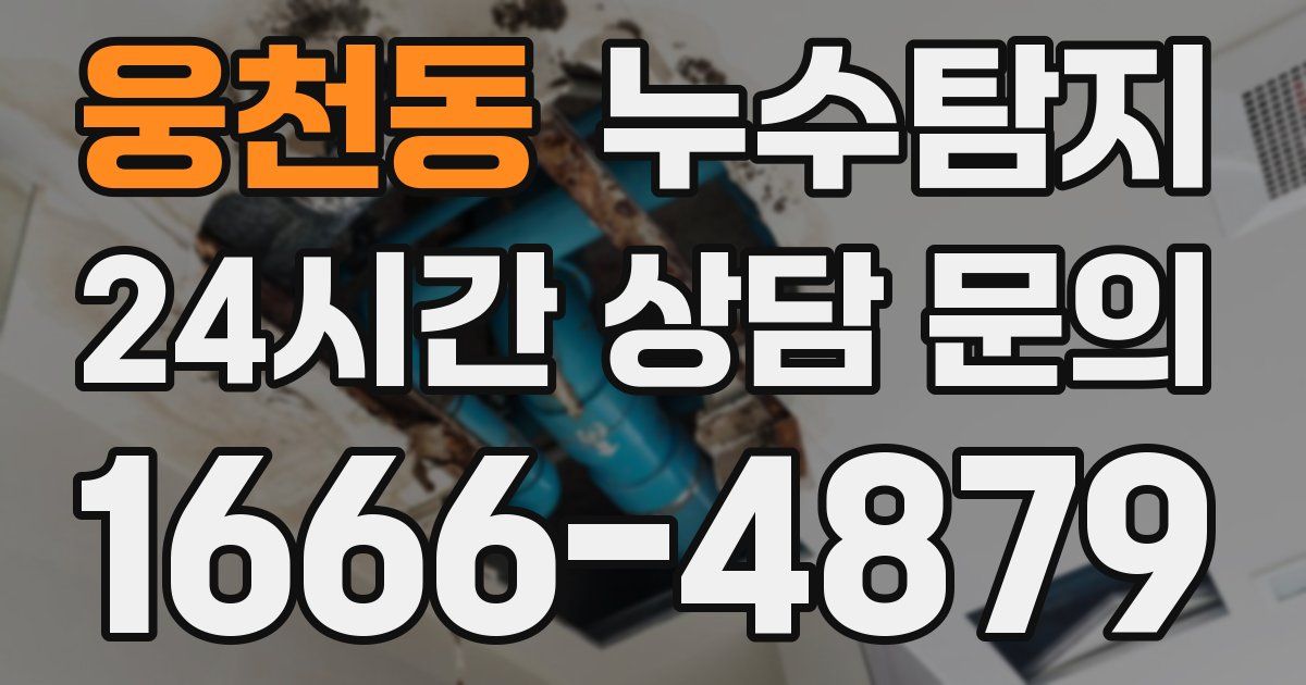 하수구막힘