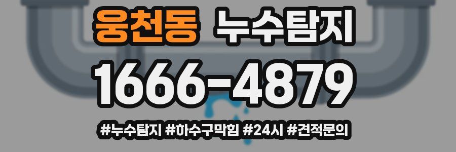 누수닥터 누수탐지