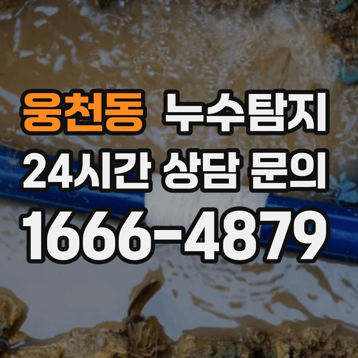 누수탐지