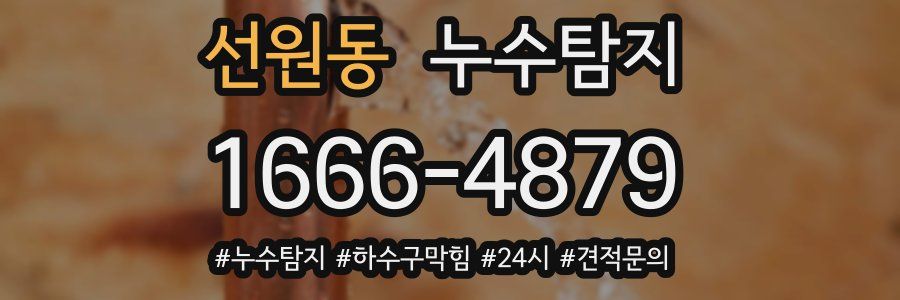 누수닥터 누수탐지