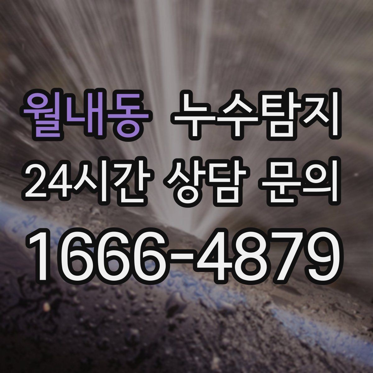 월내동 누수탐지 반지하 습기 문제 해결기