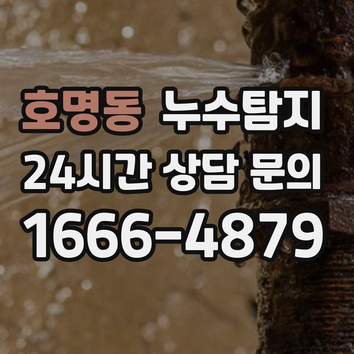 호명동 누수탐지 학교와 병원 등 공공시설 점검기