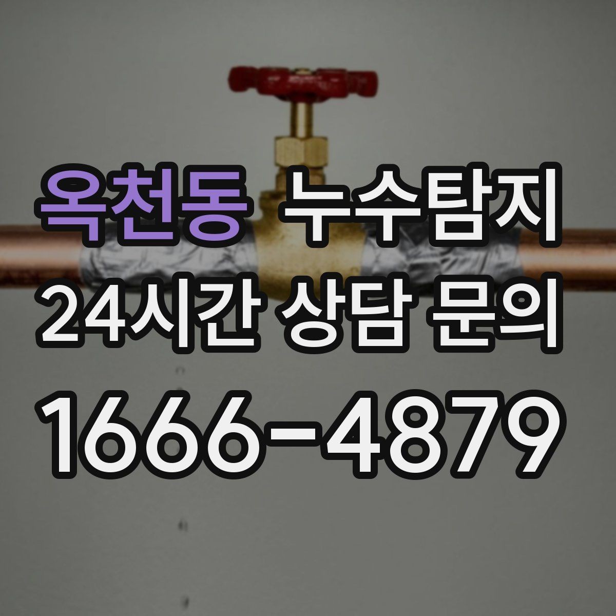 옥천동 누수탐지 데이터 기반 진단이 준 신뢰