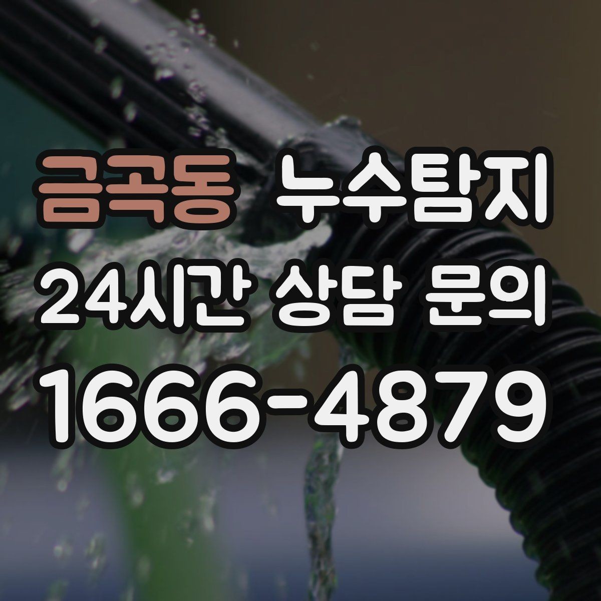 금곡동 누수탐지 작은 물자국으로 시작된 점검기