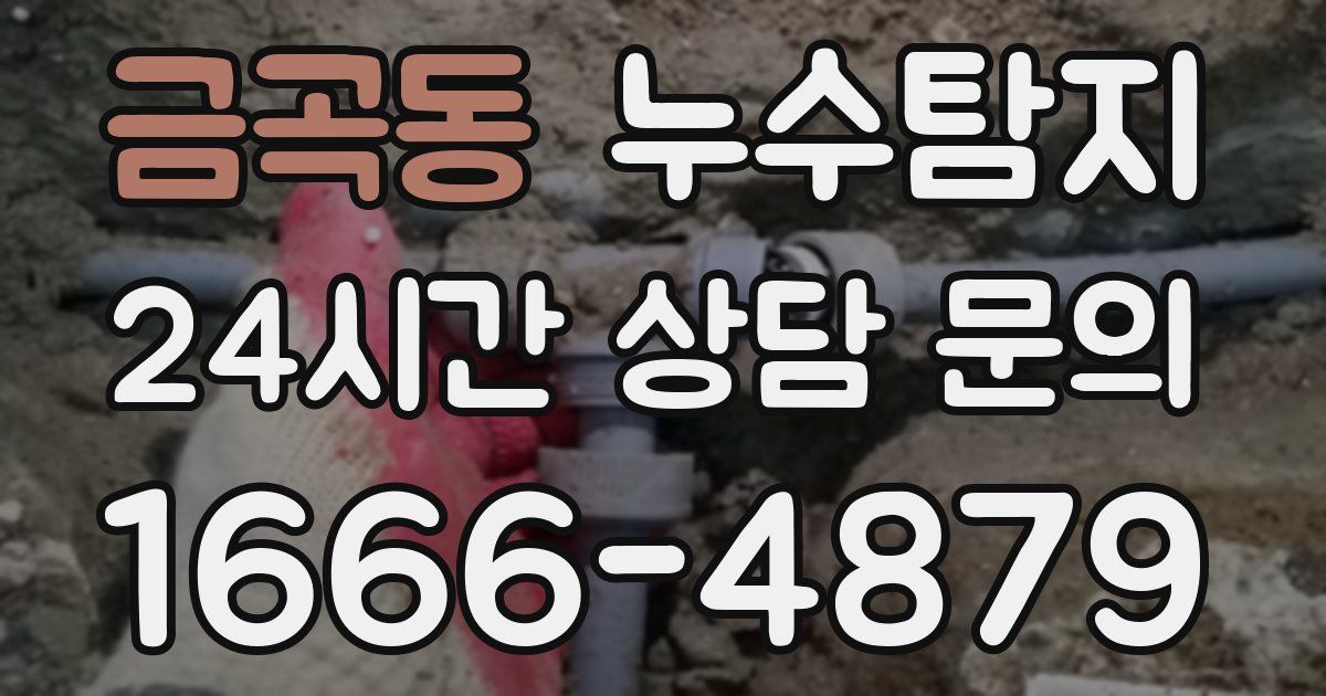 하수구막힘