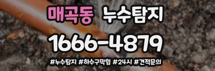 누수닥터 누수탐지