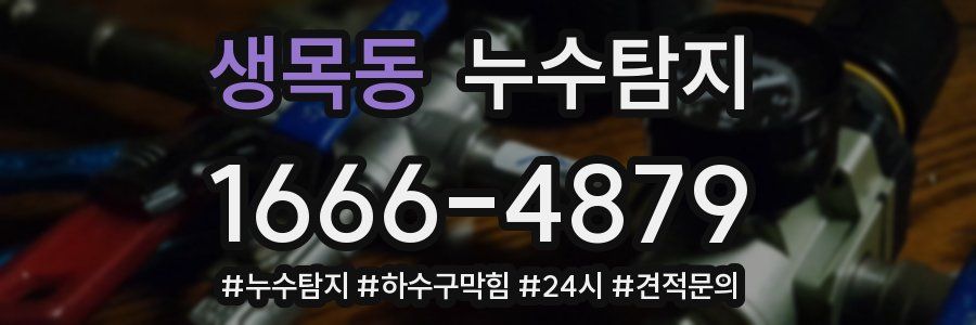 누수닥터 누수탐지