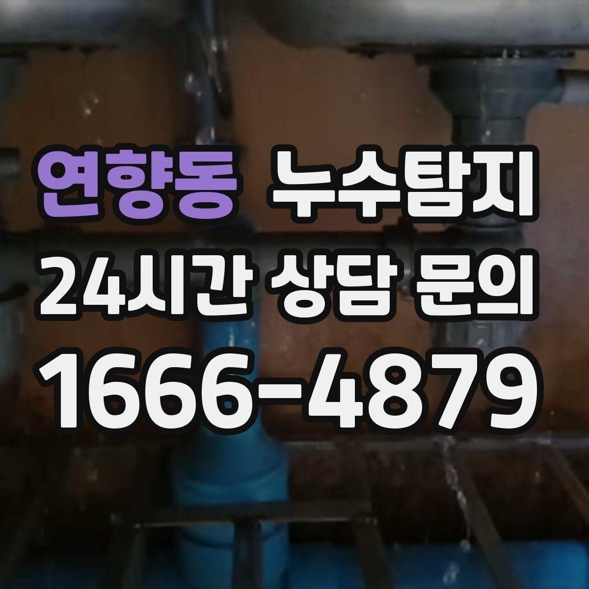 연향동 누수탐지 최소 파괴로 원인 찾는 과정 공개