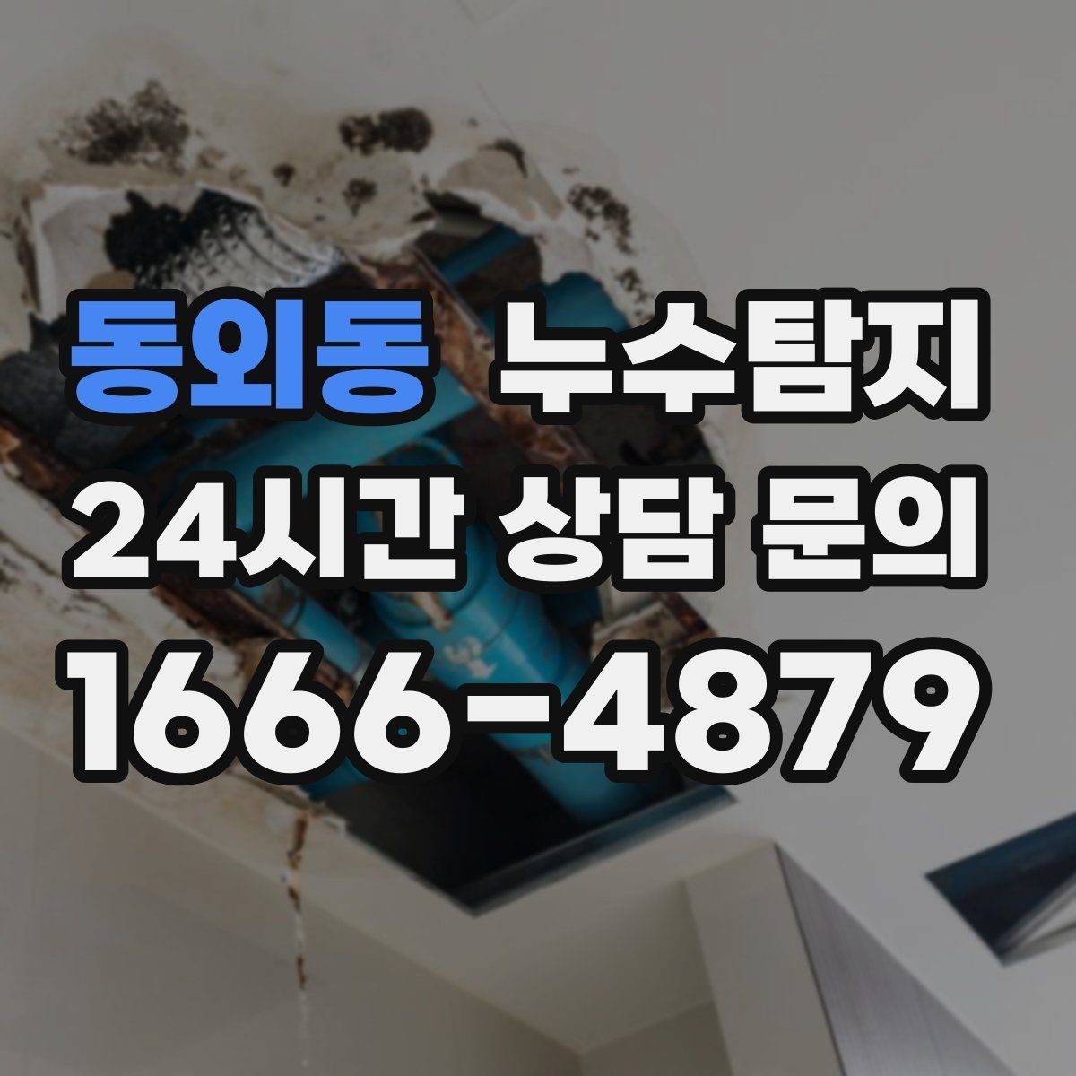 동외동 누수탐지 카페 천장 얼룩 복구 경험담