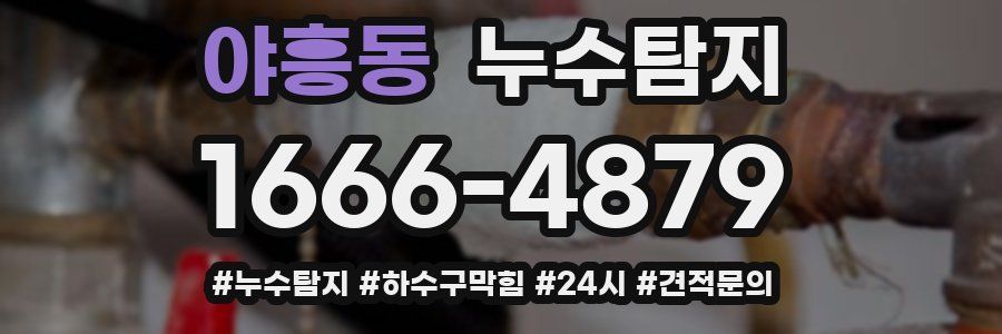 누수닥터 누수탐지