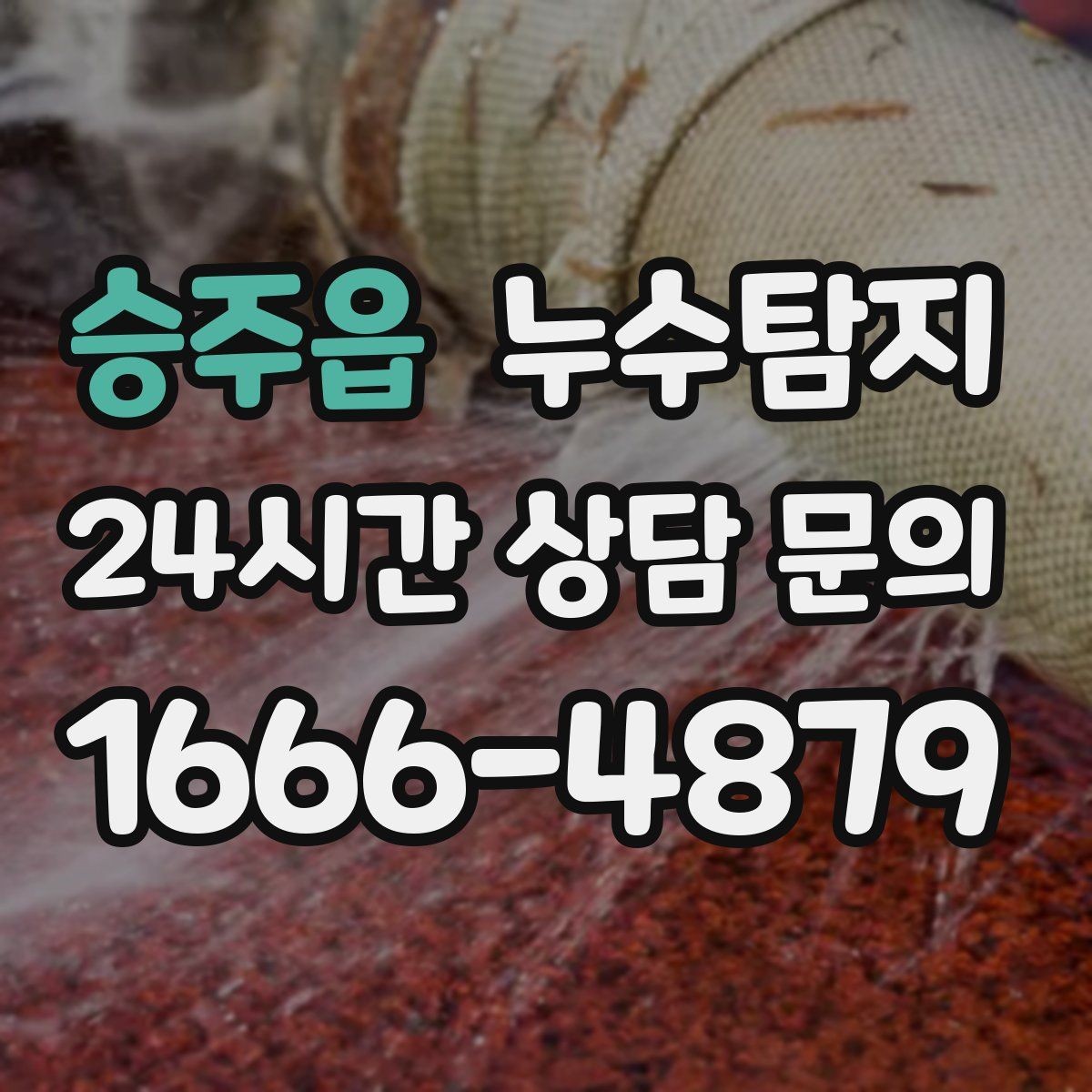 승주읍 누수탐지 데이터 기반 진단이 준 신뢰