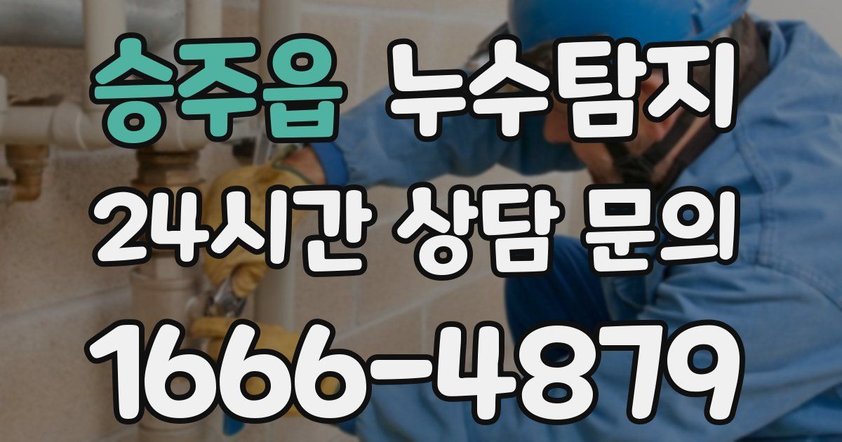 하수구막힘