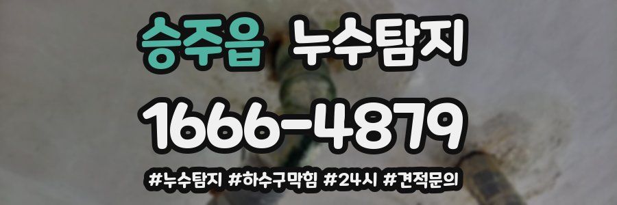 누수닥터 누수탐지