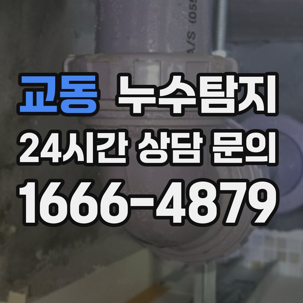 교동 누수탐지 방수층 손상 진단에서 복구까지